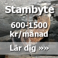 Avgiftshjning fr stambyte