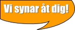 Vi synar t dig
